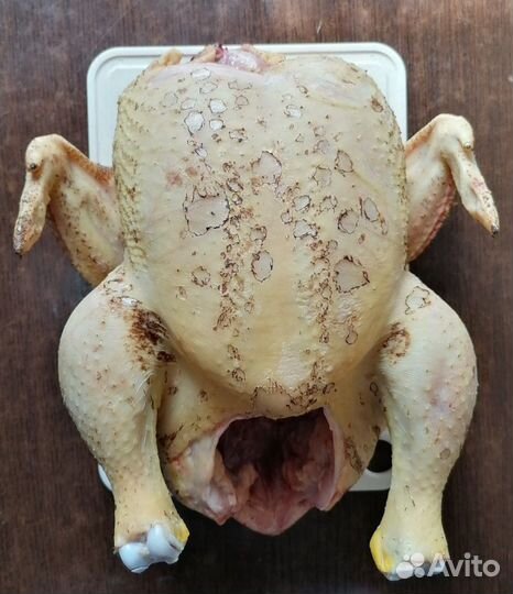 Мясо домашнего бройлера