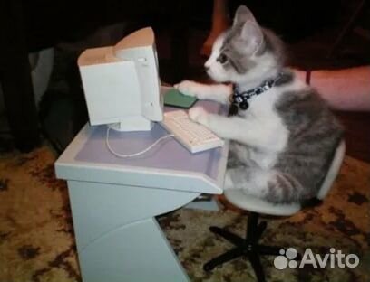 Удаленный HR специалист без опыта, из дома