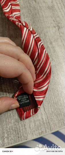 Галстук сасharel