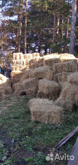 Сено в рулонах и тюках