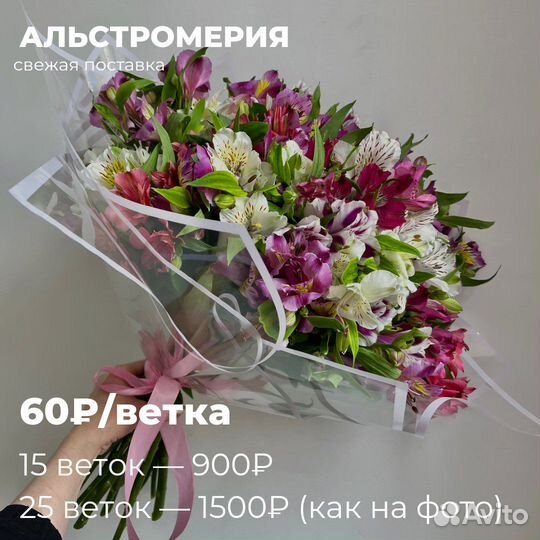 Альстромерия