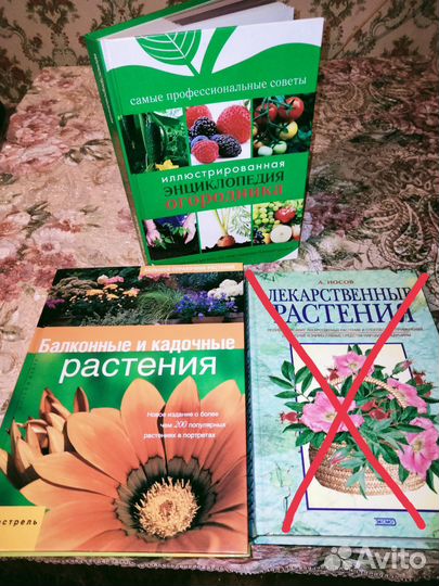 Книги о растениях и цветах Энциклопедия огородника
