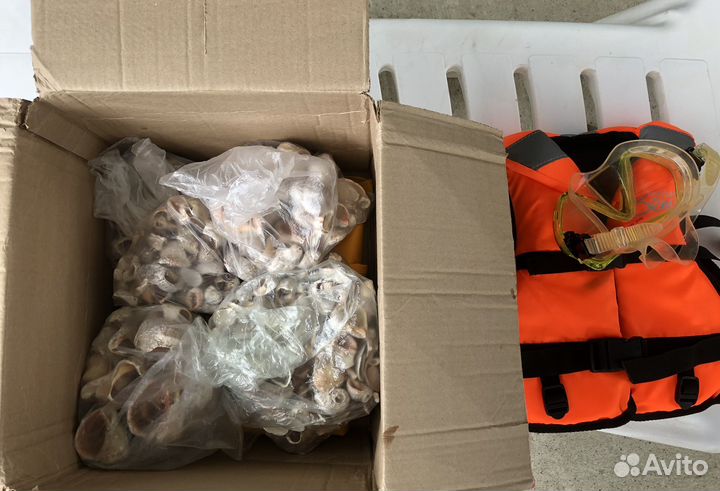 Набор для плавания