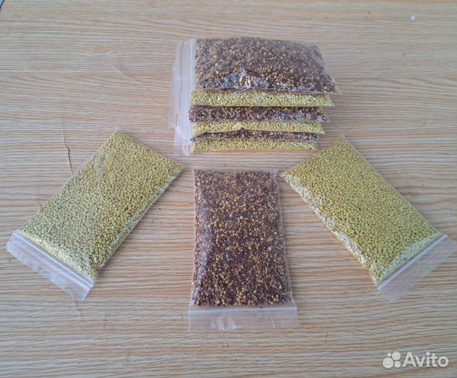 Пыльца пчелиная урожай 2023