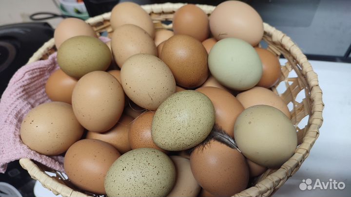 Домашние куриные яйца