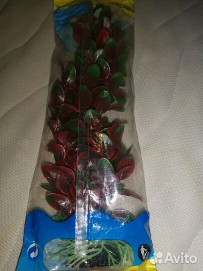 Аквариумные растения