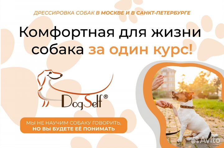 Кинолог с выездом / Дрессировка собак