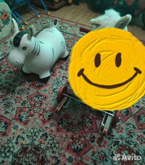 Зебра прыгун