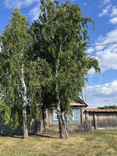 Дом 25 м² на участке 12 сот.