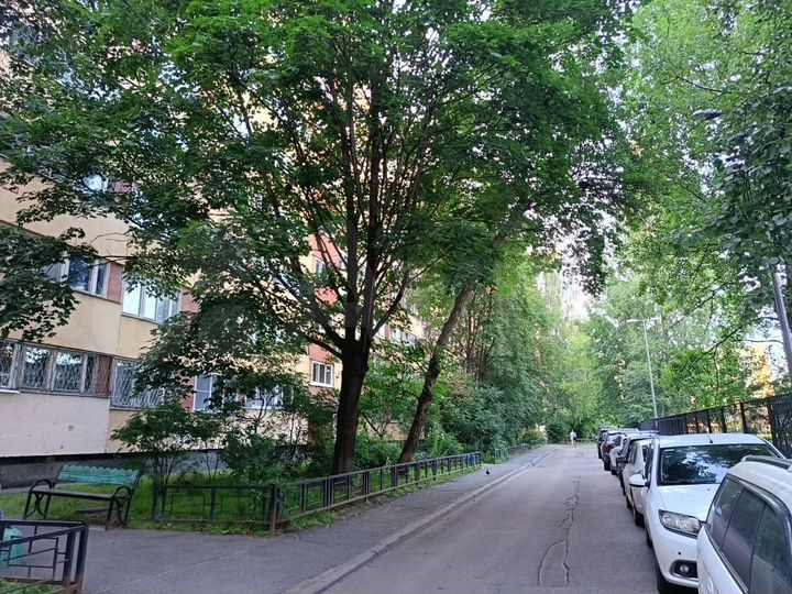 1-к. квартира, 31,3 м², 9/9 эт.