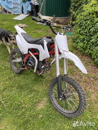 Питбайк bse mx 125 red Wings 2019
