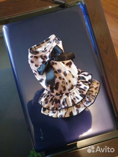 Одежда для маленьких собак бу