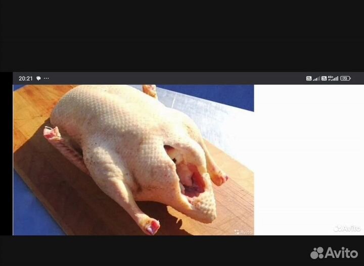 Гусь домашняя мясо