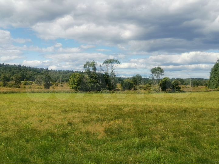 Участок 20 сот. (СНТ, ДНП)