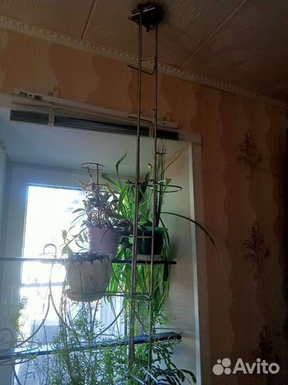 Держатель для Цветов