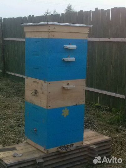 Ульи пчел Дадан