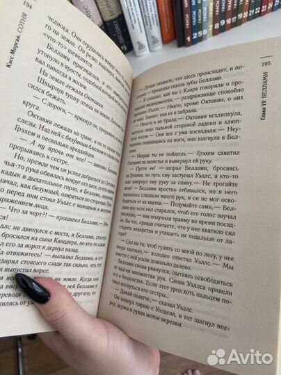 Книга Сотня