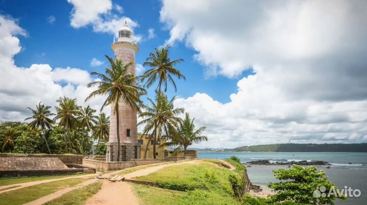 Тур-поездка Шри-Ланка от 1ч