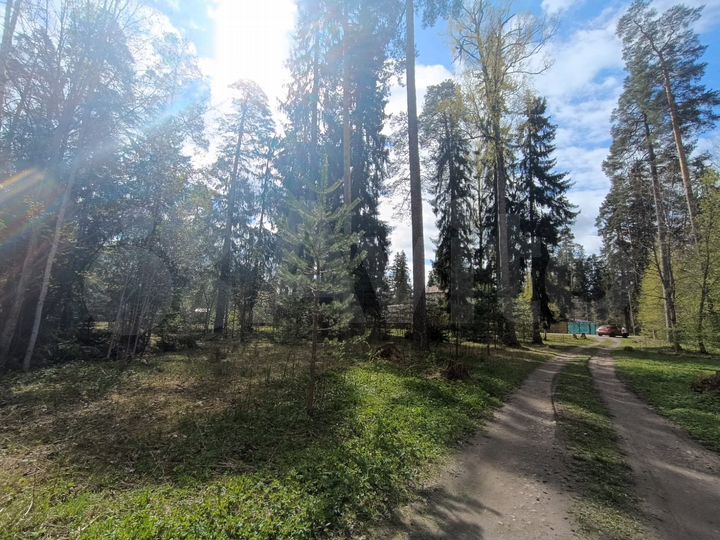 Участок 12,5 сот. (ИЖС)