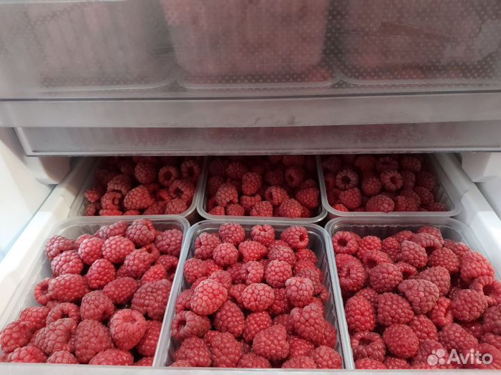 Малина замороженная