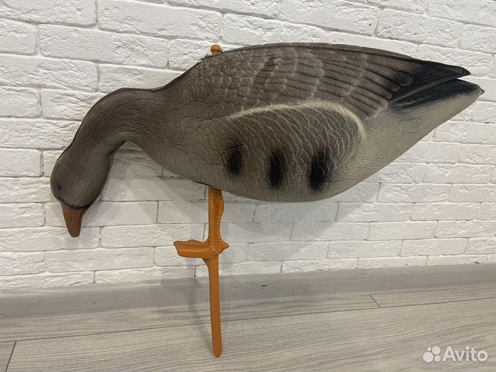 Чучела гусей