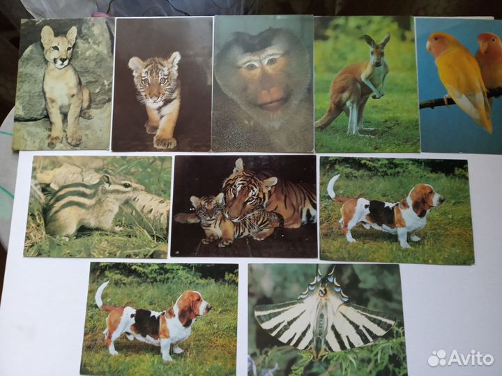 Открытки СССР