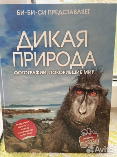 Книга с фотографиями