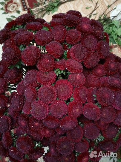 Букет из астр