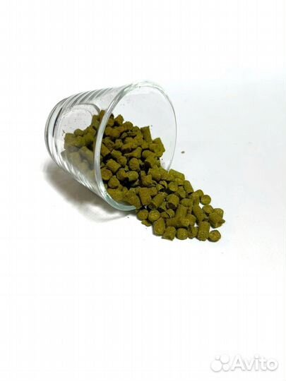 Хмель для пива и хлеба