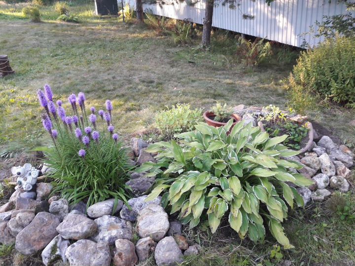 Дача 44 м² на участке 10 сот.