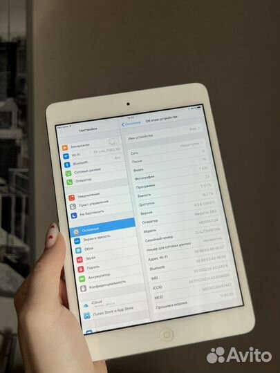 iPad mini 1