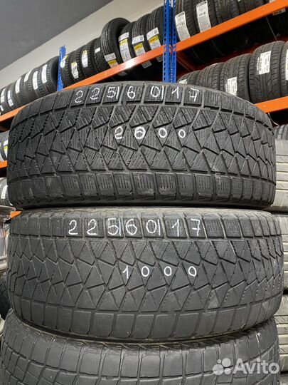 Bridgestone Blizzak DM-V2 225/60 R17 99S