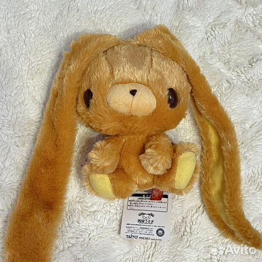 Зайка глуми