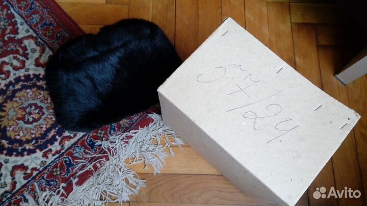 Шапка меховая кролик 57\24