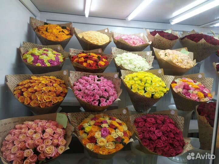 51 роза 101 роза. Живые розы. Букеты цветы шары