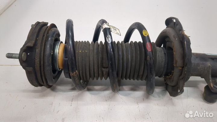 Амортизатор подвески левый передний Hyundai Palisade