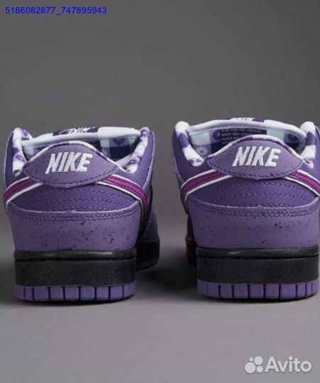 Nike SB dunk low purple