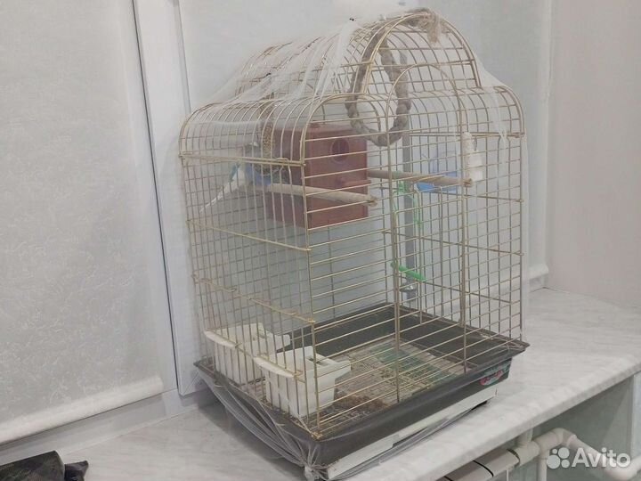 Клетка для попугая