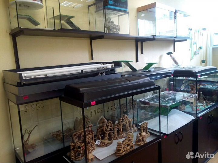 Аквариумы, террариумы, рыбки