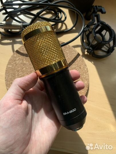 Микрофон BM 800