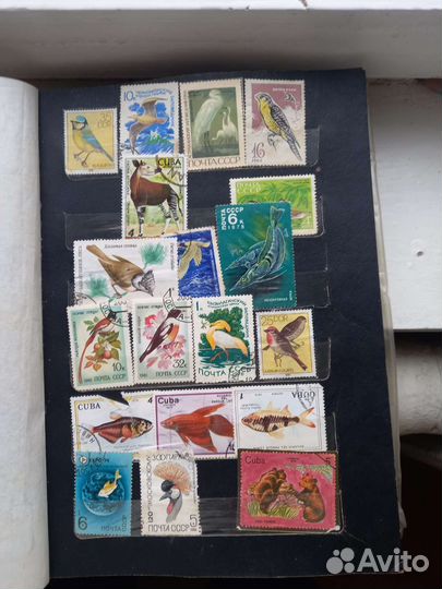 Коллекционные марки СССР