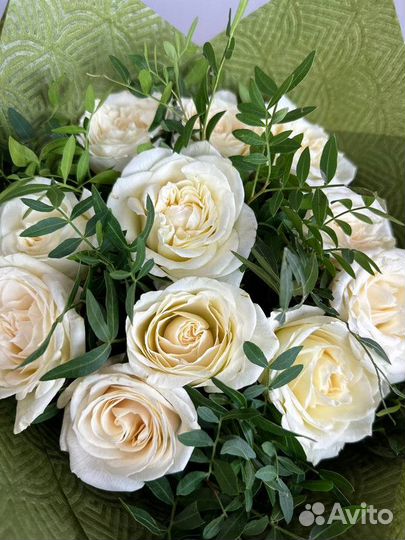 Розы цветы доставка 25 35 51 101