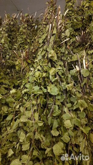 Веники кормовые для животных