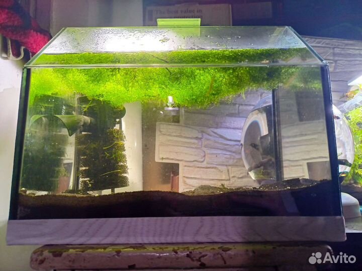 Аквариумы б/у 3 шт