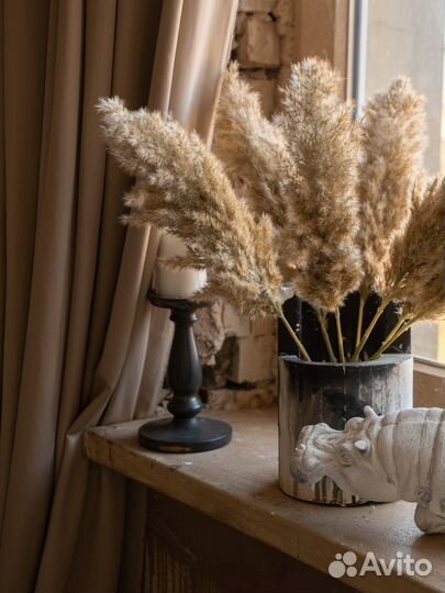 Сухоцветы для декора Камыш тростник Пампасная трав