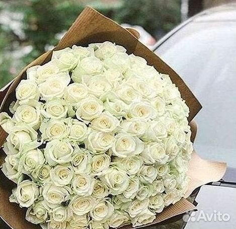 Высокие розы