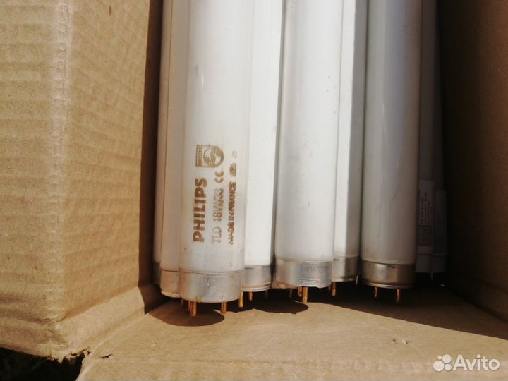 Лампа люминисцентная