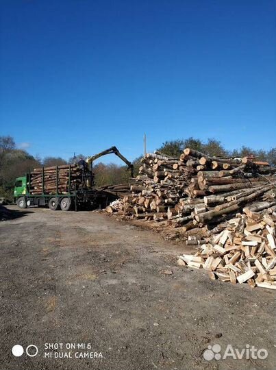 Дрова Колотые Березовые Дубовые с Доставкой 3 часа