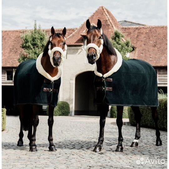 Попона флисовая Kentucky