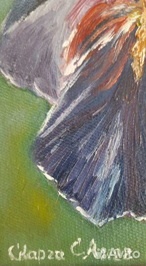 Картина масло холст цветок Ирис ручная работа